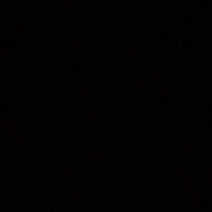 Meet your Posher, Ellie